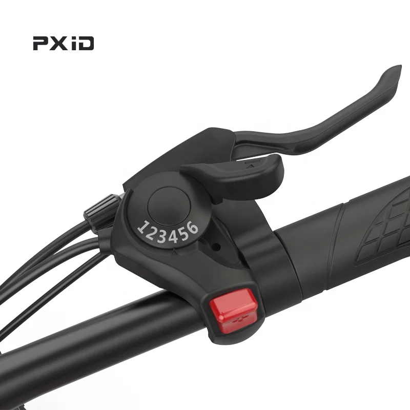 2020 PXID S9 Грузоподъемность 120 кг Bicicleta /Elctrica/Электрический