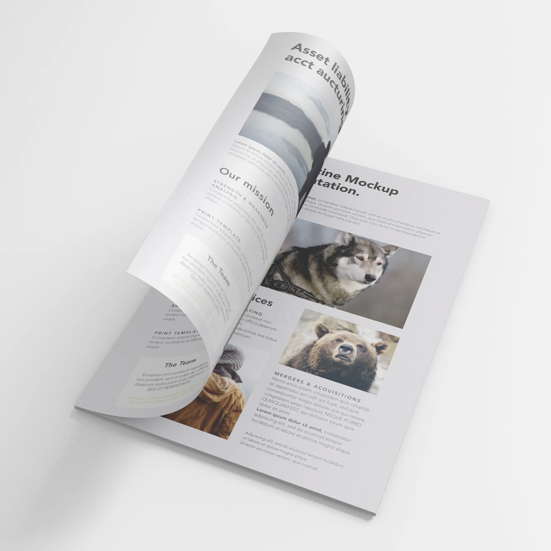 Custom Printing Professional Factory Wholesale Cheap Custom Design Full Color Paper Booklet Brochures Catalog Magazine Printing