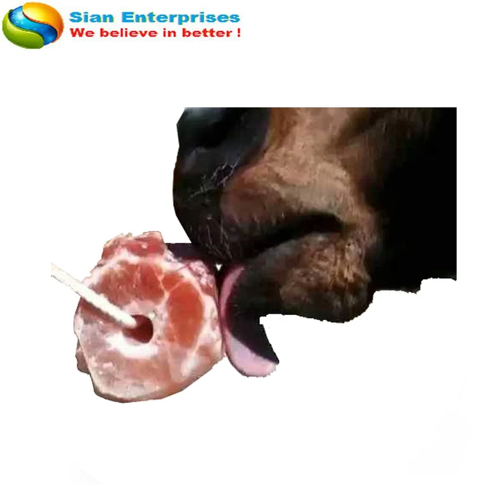 Гималайская соляная лошадь Lick Animal Equine дополнение большие 3kg-5kg-Sian Enterprises