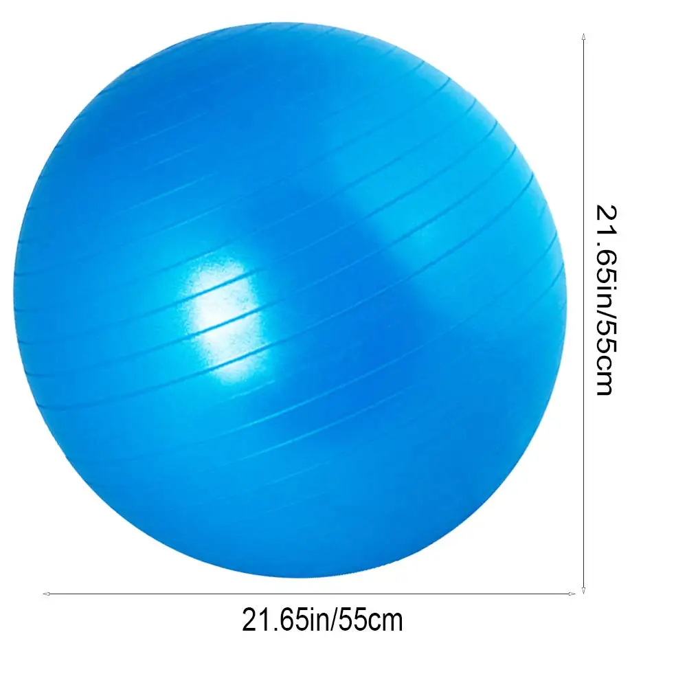 65cm yoga ball gym ball swiss ball with hand pump