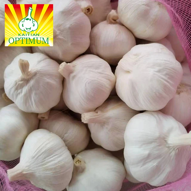Fresh Chinese garlic pure white fresh garlic /ajo/ail /alho suppliers China market garlic price