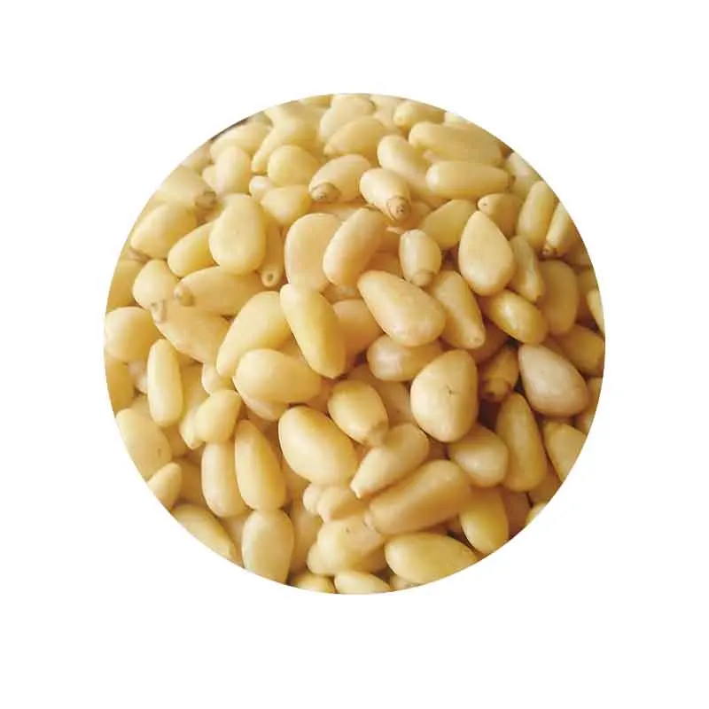 Processing plant best quality good prices bulk package pine nut seed
