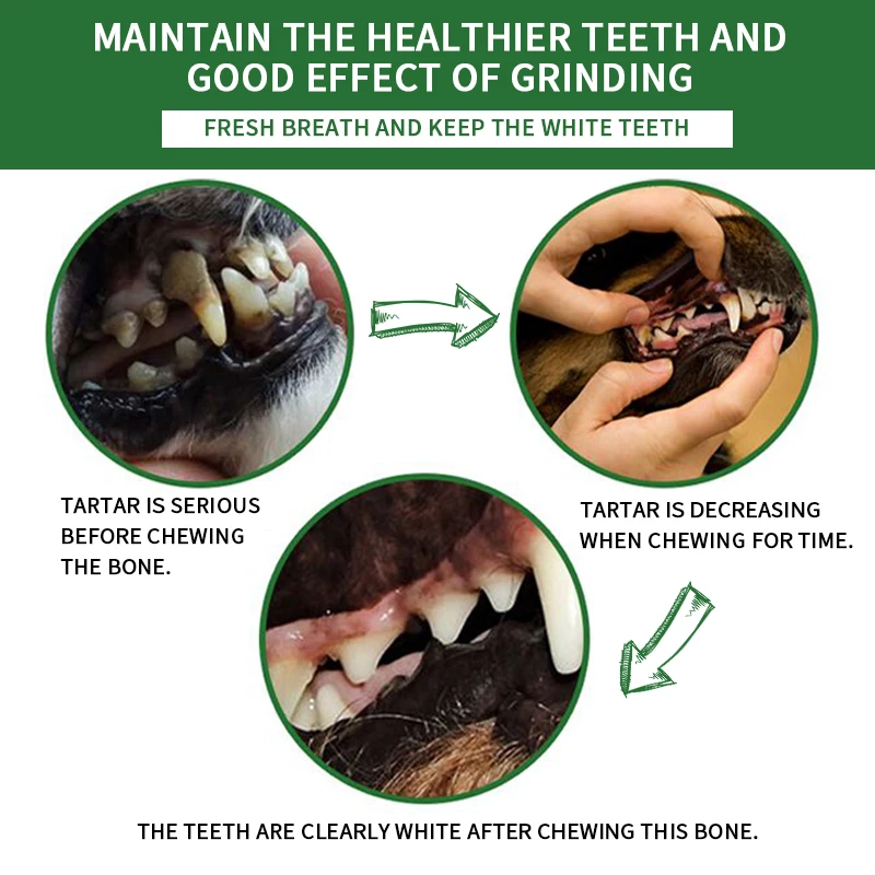 OEM pet food dog dental treats molar teeth bone chew snack training stick