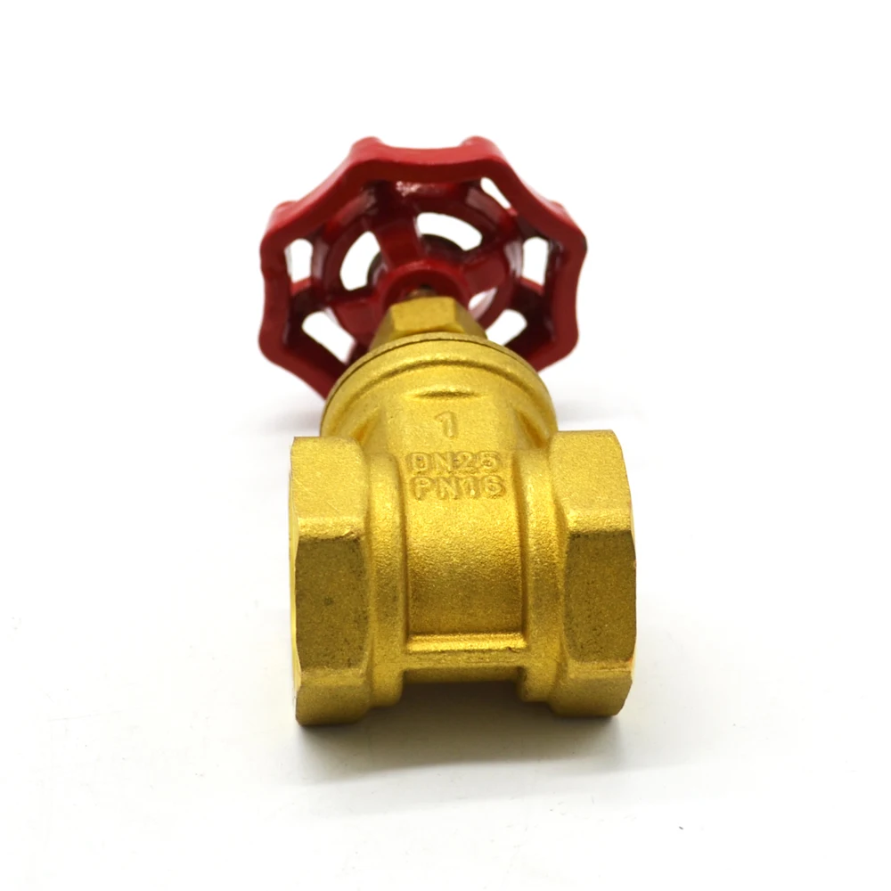 China made 1.6 MPA  Gate Valve brass spring check valve DN10/DN25/DN32 swing water valve