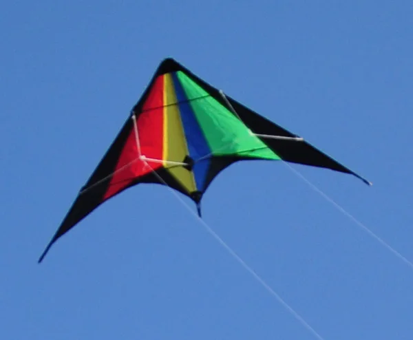 2021 hot sale High Quality delta stunt kite