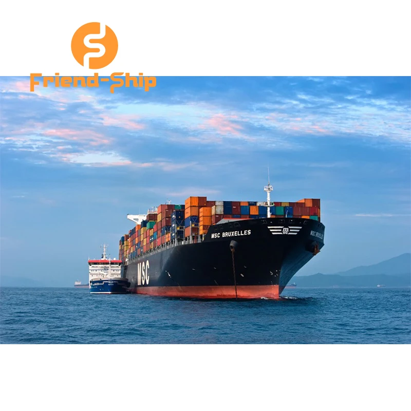 FriendShip Alibaba international Cargo service company To USA Fba Amazon sea shipping