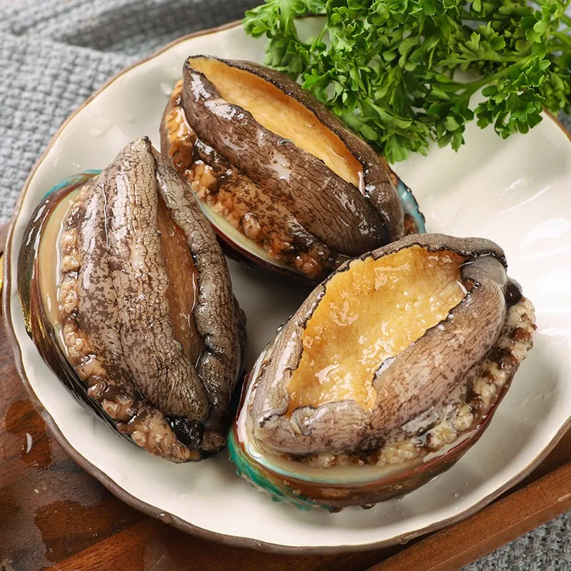 
FROZEN BLANCHED ABALONE IN SHELL 