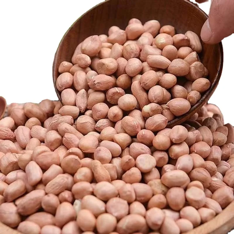 Chinese origin new crop peeled raw peanuts kernels with red skin in different sizes