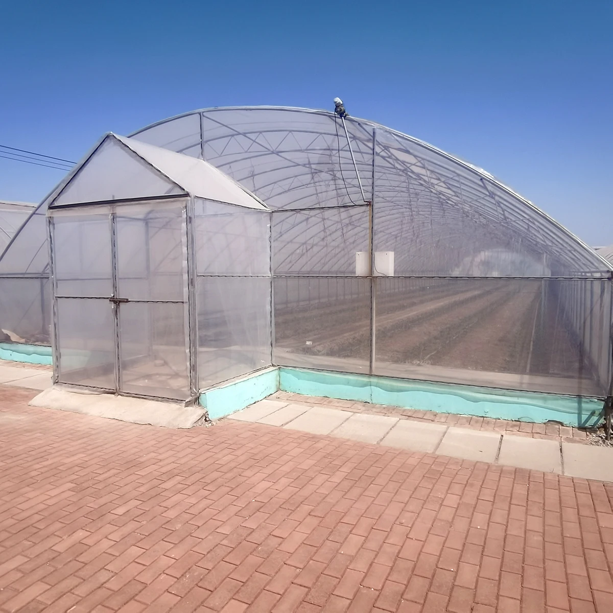 
Singel serre tunnel Agricultural Greenhouses Commercial Greenhouse Cost cheap hemp greenhouse 