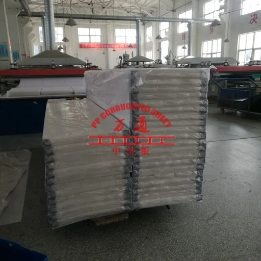 Transparent coroplast corrugated plastic sheet for templating
