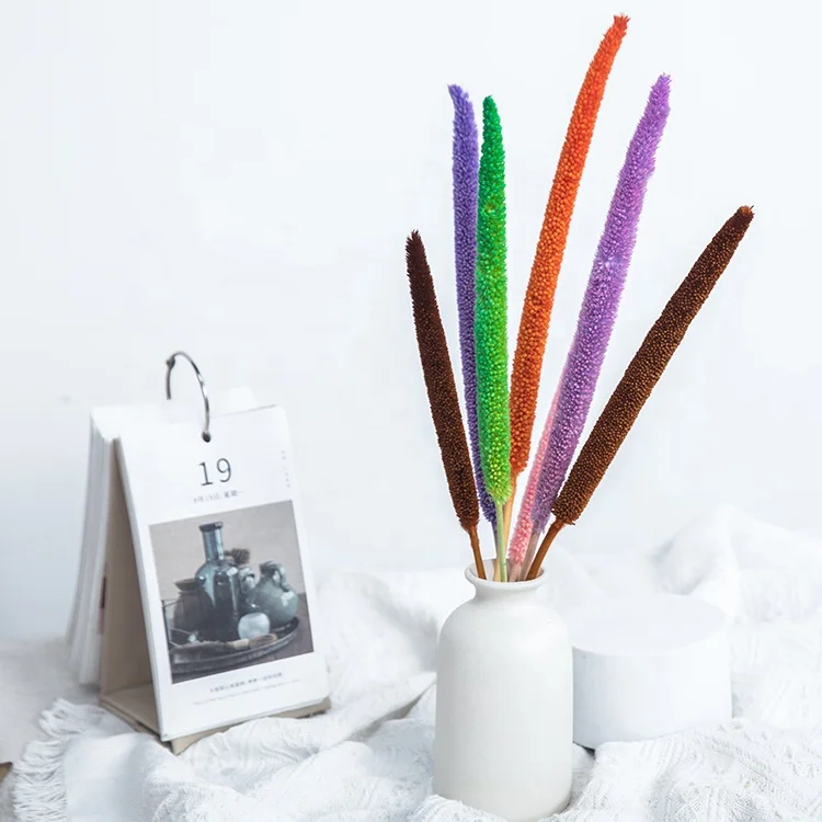 new dried flowers decorative flowers wreaths and plants bulrush millet customized pearl millet bouquet flower