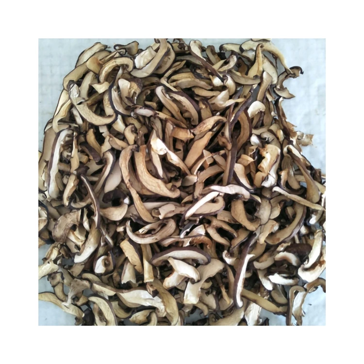 Оптовая продажа товары для пищеварения на заказ 100 г порошок грибов Shiitake Hypathisis пищевого