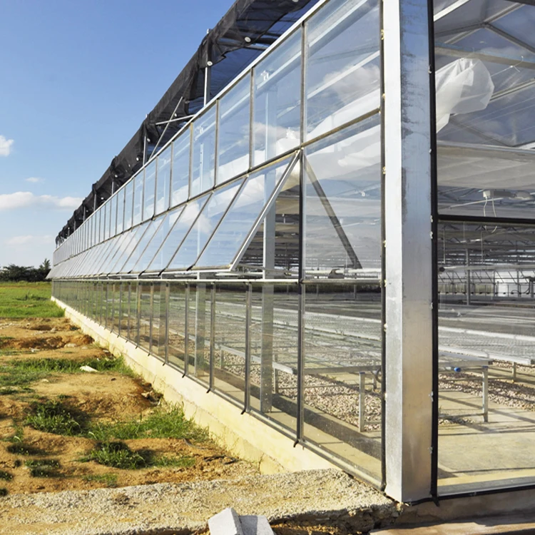 Four Season Low Cost Agricultural Fertigation Irrigation System Pc Sheet glass Greenhouse