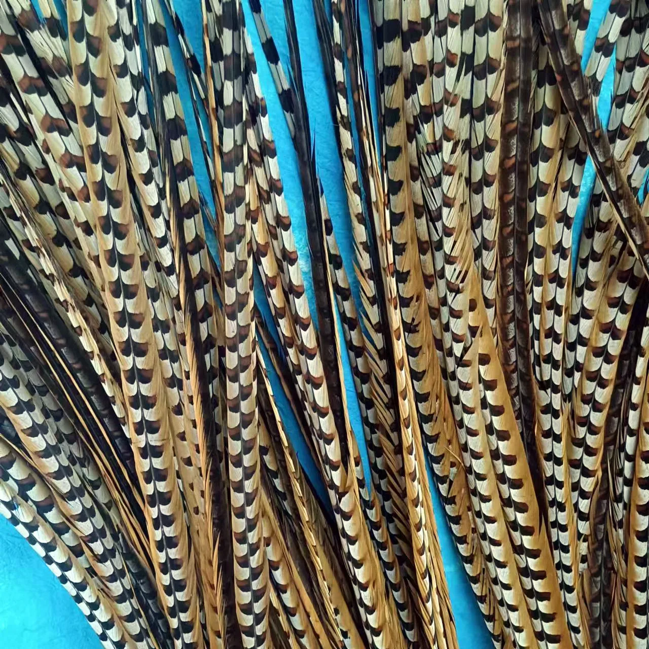 Оптовая продажа высокое качество перья хвоста фазана рифленое перо для карнавальных костюмов украшения танцевальных головных уборов