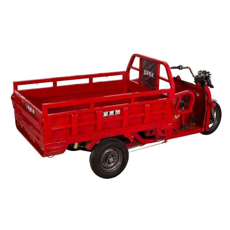 High Loding Capacity E-rickshaw Factory Direct Wholesale Tricycle 3 wheel Electric Tricycle for Adults