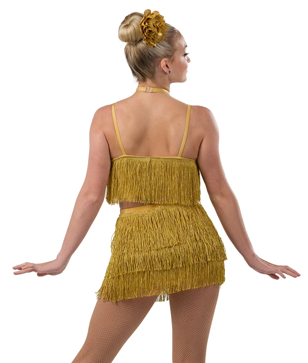 New Girls jazz dance costumes tassel design  Latin  costume Belly dance costume.