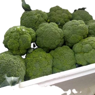 High Quality Vegetable Cauliflower From China Factory for Export