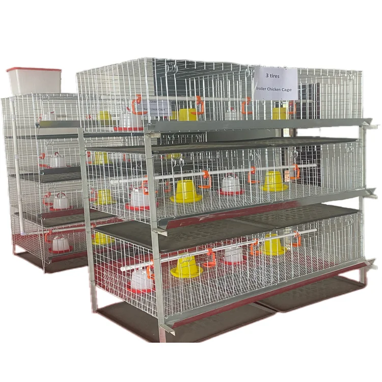 160 Layer Capacity Battery Fully Automatic Chicken Cage Motor Wire Provided Poultry Farms Low Carbon Steel Hot Product