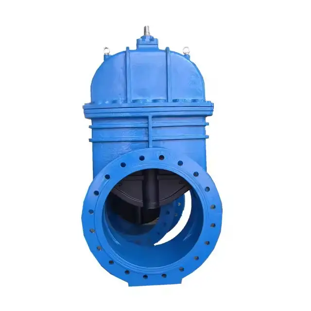 Low Pressure Big Size DN 1500 Gate Valve with Gear Box