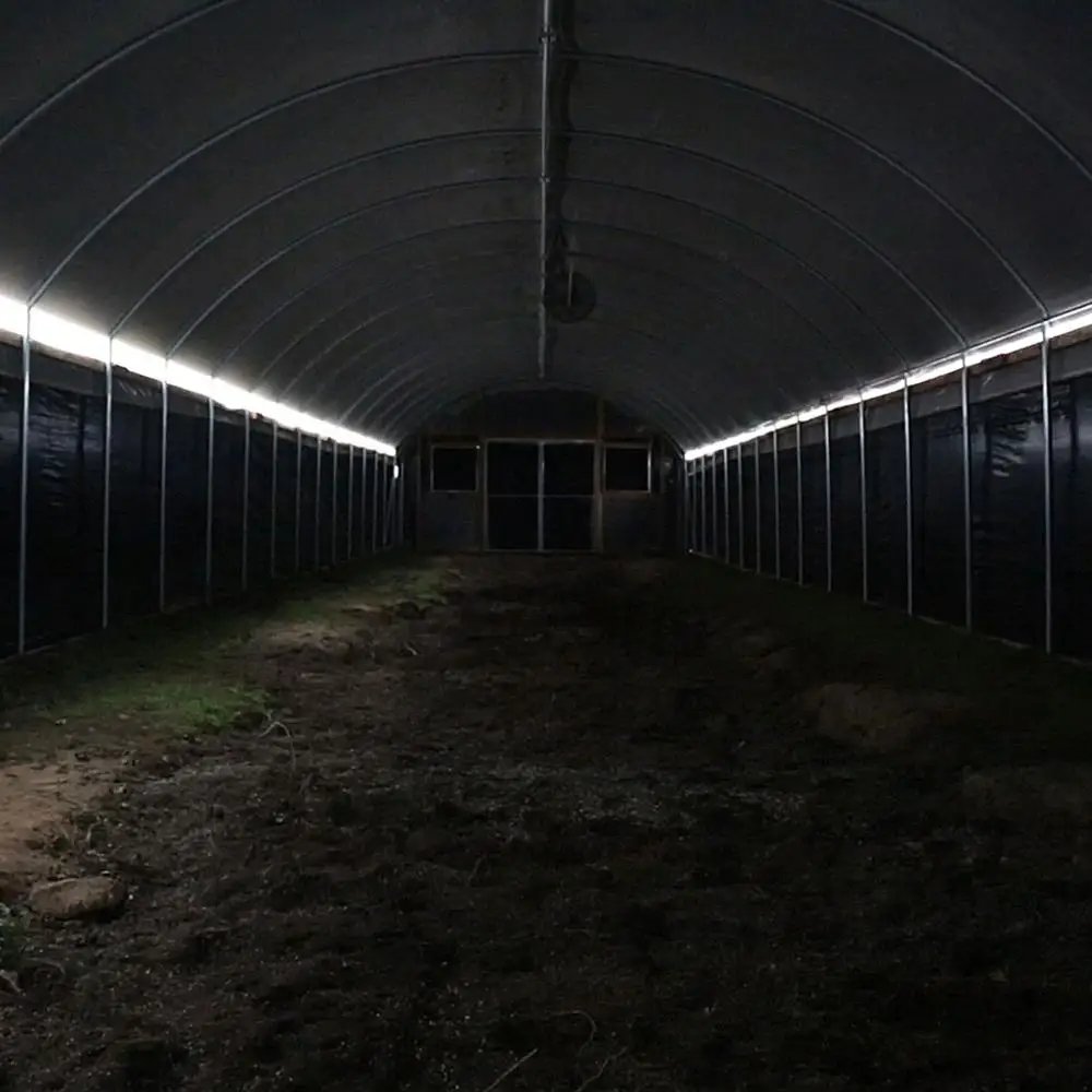 Agriculture Poly Tunnel Blackout Automatic Light Deprivation Hemp Greenhouse For Canada / USA