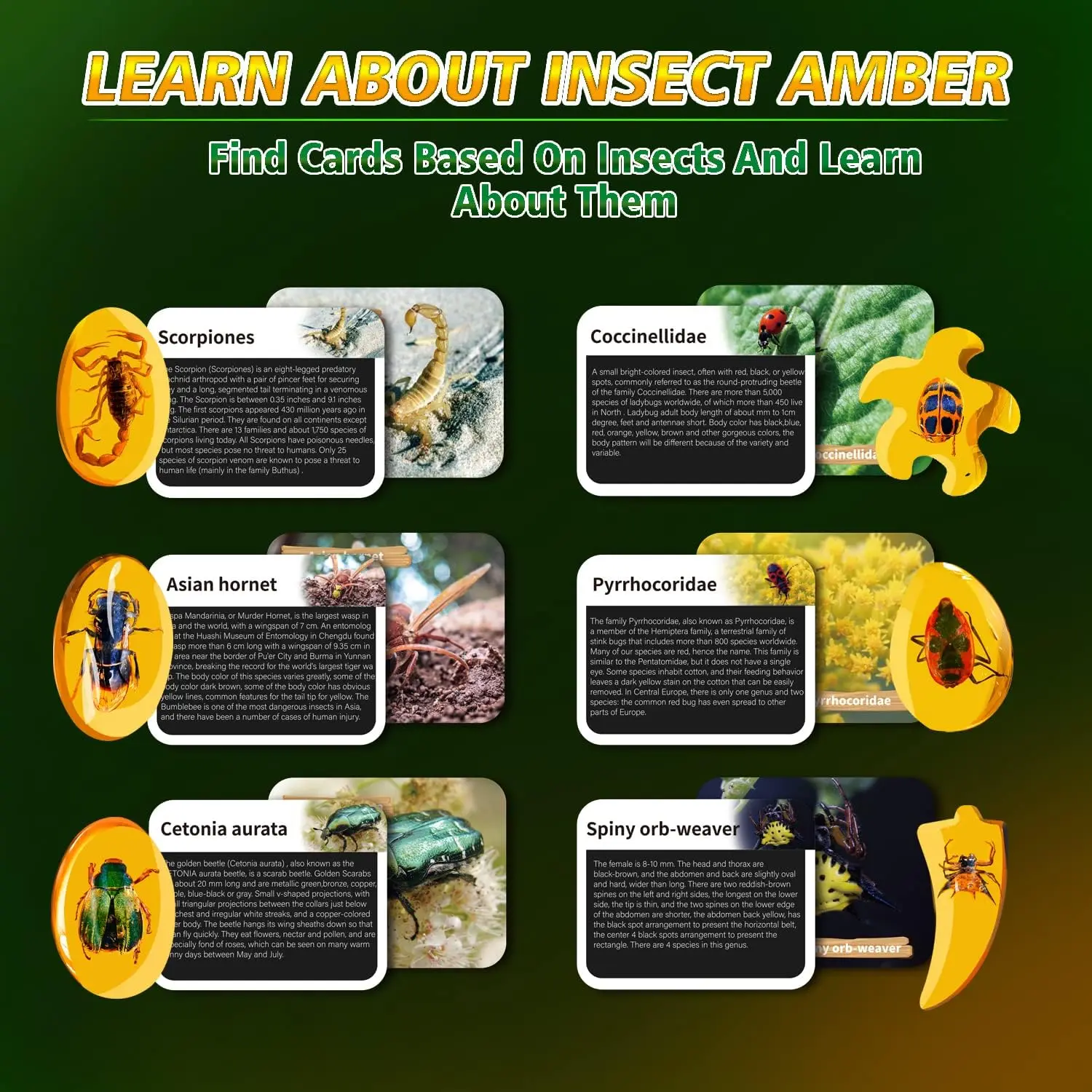 Bug Amber Archaeological Science Experiments For Kids Educational Diy Stem Amber Dig Kit