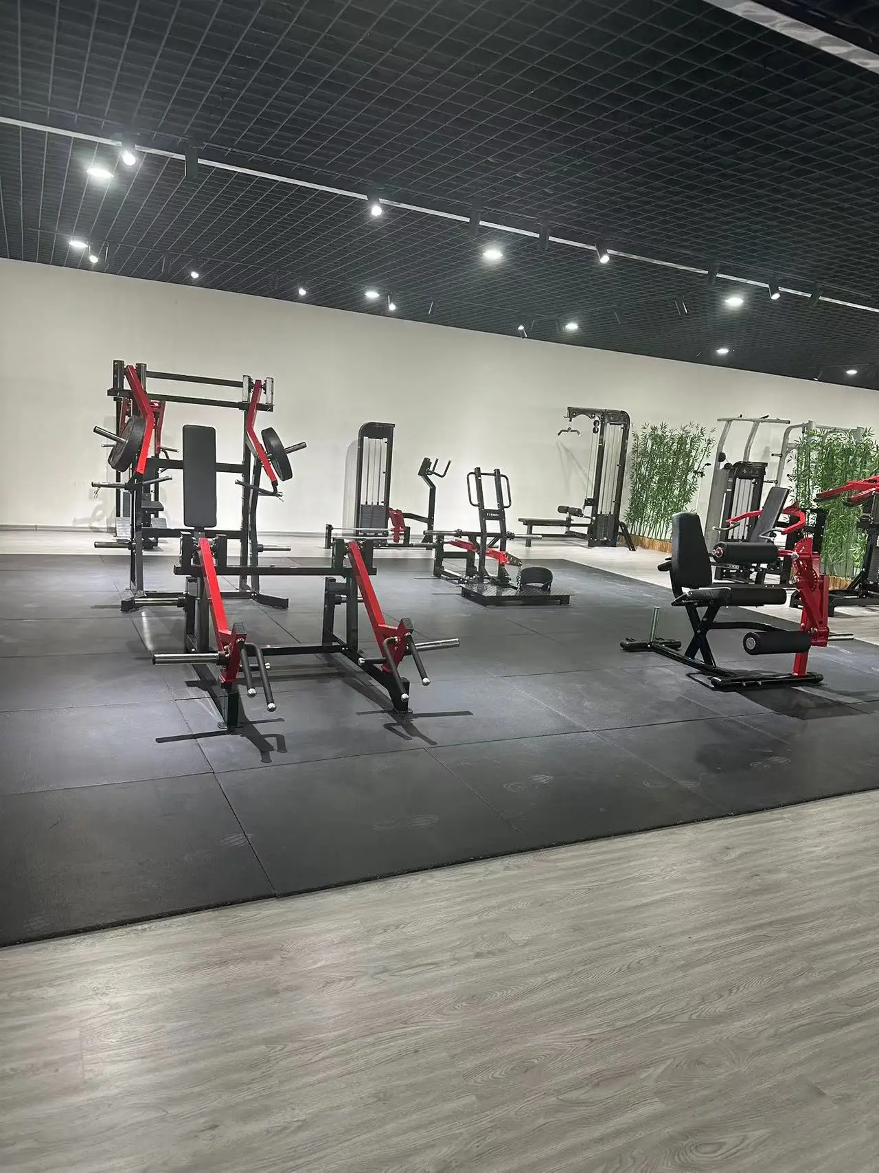 Fitness Equipment Body Building Home Gym Machine Huck squat & shoulder lift