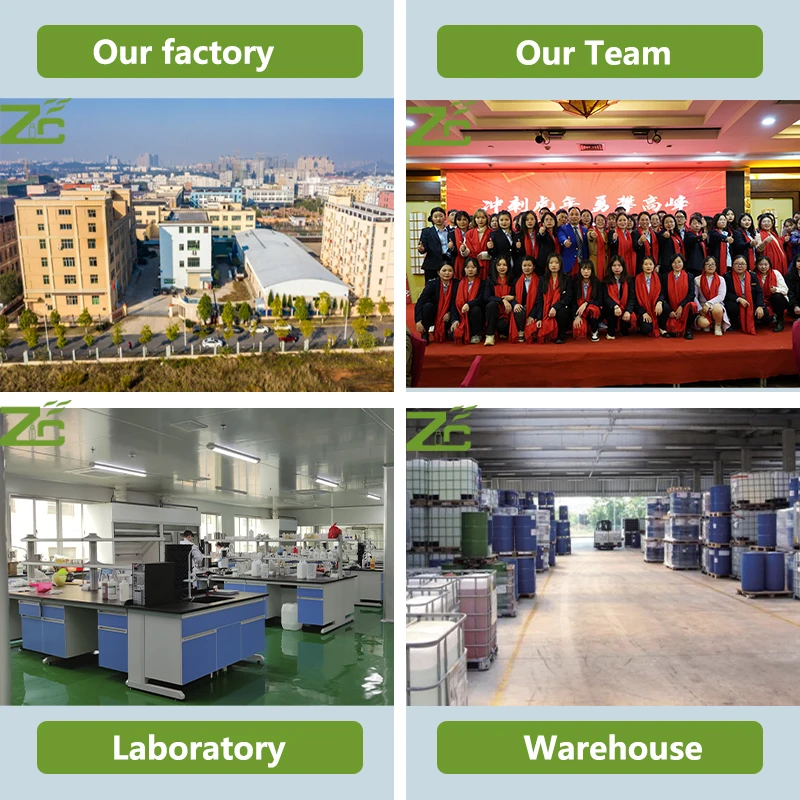 Wholesale Supply 100% Pure & Natural Olive Carrier Oil for Skin & Hair Care | Cosmetics Grade Oil for Bulk Quantity