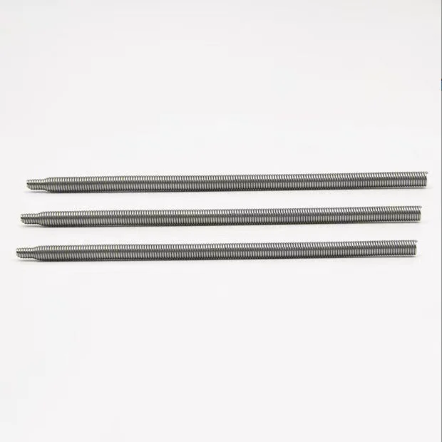 Custom 304 stainless steel canted coil round type O type circle oil seal garter spring