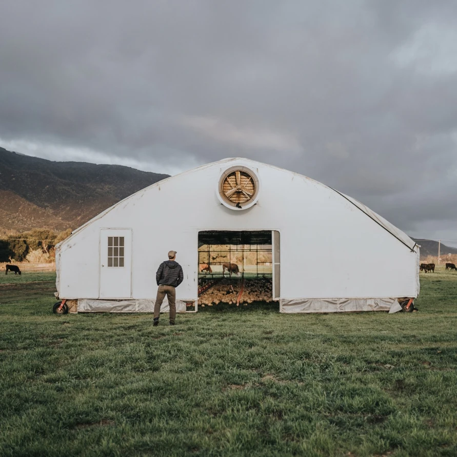 Mobile broiler House structures breeding greenhouse solar-powered robot chicken coop house poultry farm