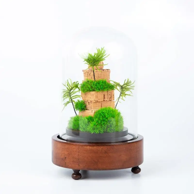 Preserved flower finished glass cover moss micro landscape desktop landscaping ecological ornament gift
