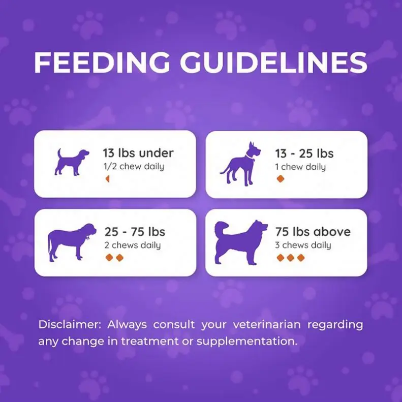 OEM Dog Probiotic Soft Chews Digestive Support Bacillus Coagulans Strain Prebiotics Supplement For s