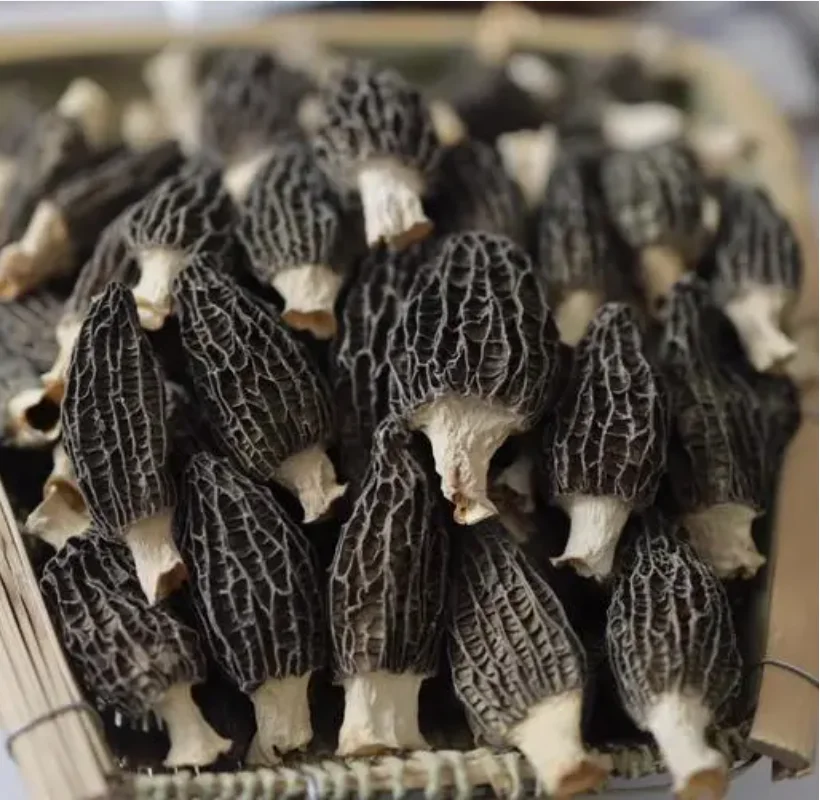 High Quality Dried Morchella Esculenta Truffle Whole Shiitake Mushroom Packaged in Bag Raw and Dried from Wild Source