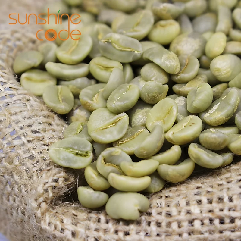 Sunshine Code Vietnam Robusta Screen 18 Coffee Beans Green Price Per Kg Grade 1/2 Specialty Coffee