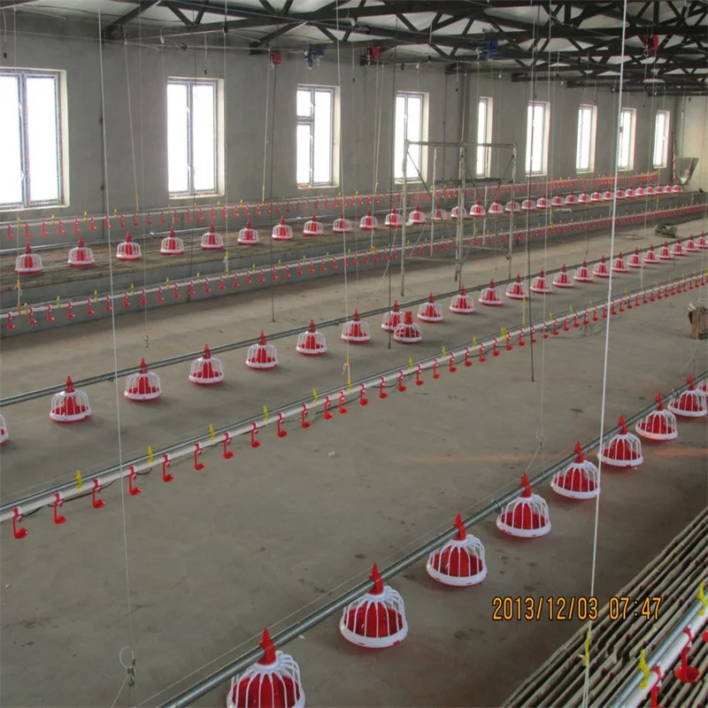 New Design Prefab Automatic Broiler Feeding and Drinking System Poultry House Shed Equipment on the Ground Floor
