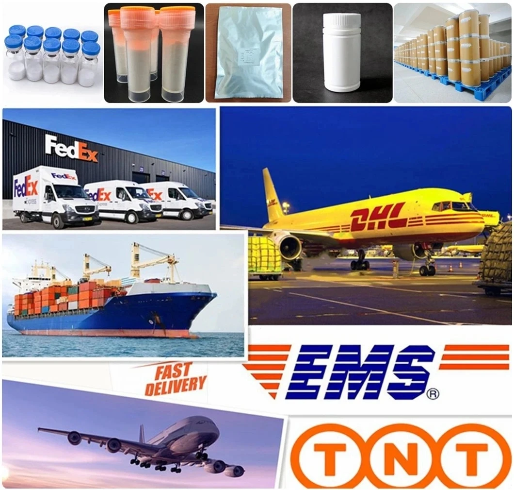 Can be customized color electric motorcycle high-power