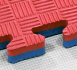 Large Thickened Colorful Puzzle Tatami  EVA Foam Play Mat For School Gym Taekwondo  100 x 100 CM