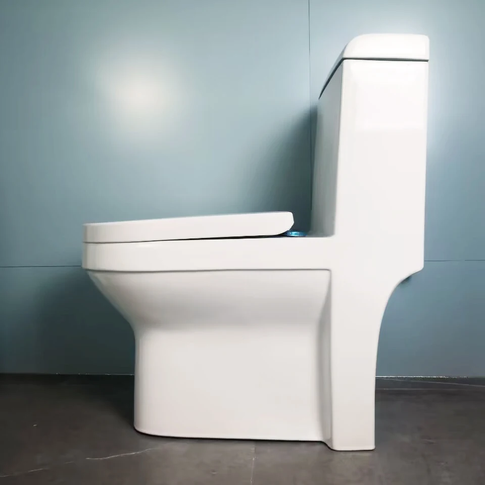 personal production line ceramic water closet toilet big size