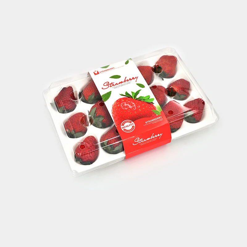 15 holes Fresh Fruit Storage Container Clear Disposable Plastic Fruit Packaging Box For Strawberry