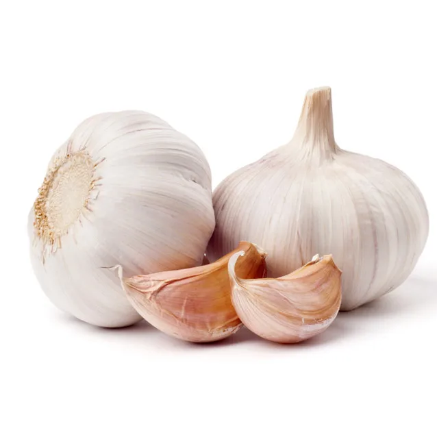 Wholesale Chinese 2021 New Crop Frozen Mesh Bag Packed 20kg Fresh Ginger And Garlic