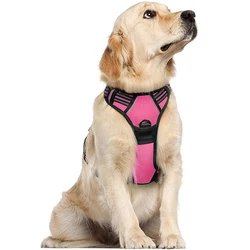 Amazon Best Seller Body Small Mesh Fashion Dog Pet Harness for Dog