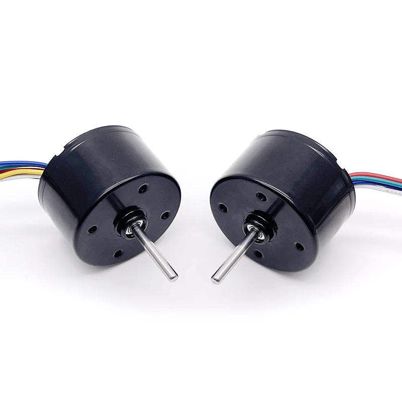36mm 12V 24V Brushless DC Motor Electric BLDC for Pump Essential DC Motors