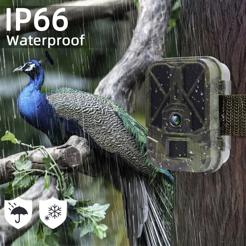 Live Stream Trail Camera 4K Video 30MP WiFi APP BT Hunting Cameras With 10000mAh Li-Battery Night Vision WiFi940PROLI