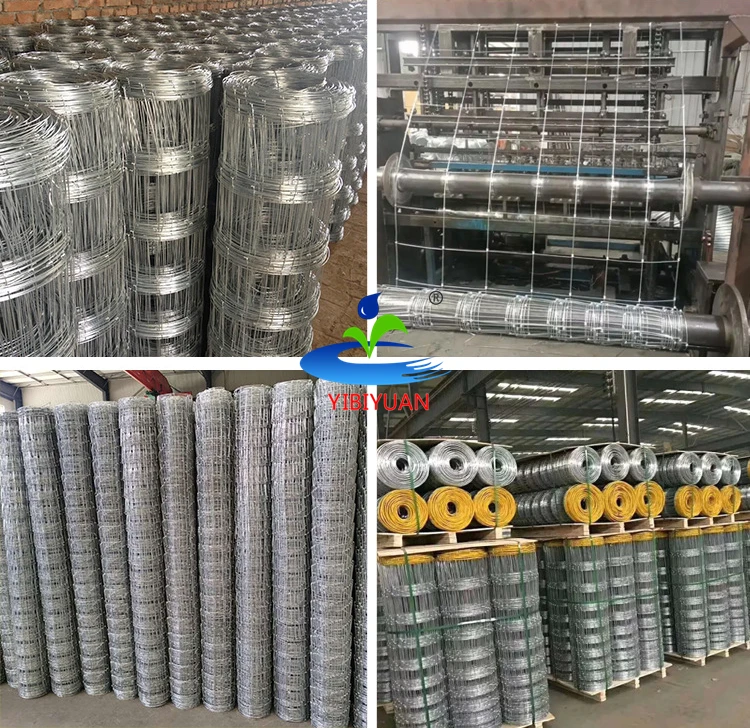 Farm Fence Wire Line Fencing Trellis Gates Grillages Cloture pour 4 Hectare Agricultural Fence