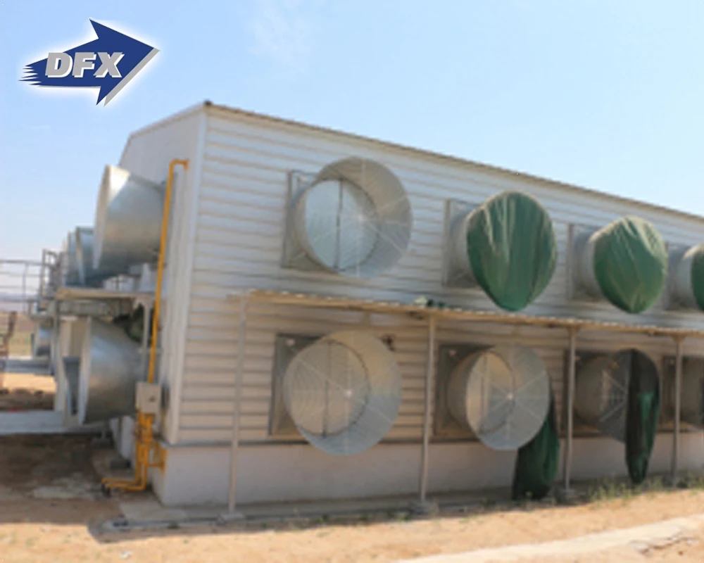 Сборные дешевые, новый бесплатный дизайн, промышленный свет, сборная стальная конструкция, здание птицефабрики для продажи