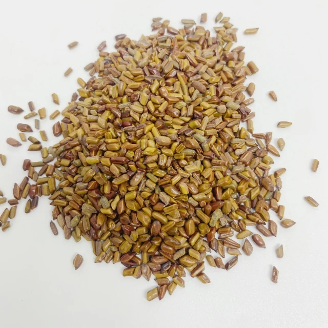 Big Sale Organic Cassia Seed Tea for Weight Loss Reduce Blood Fat Bulk Packaging
