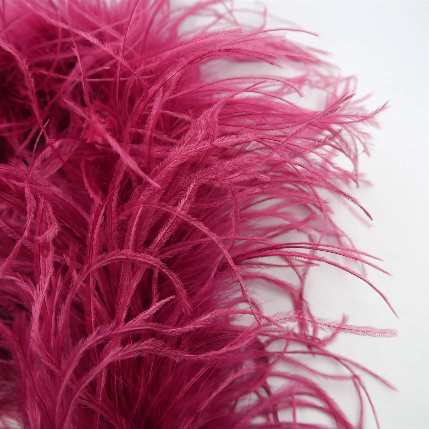 Ostrich Feather Boa