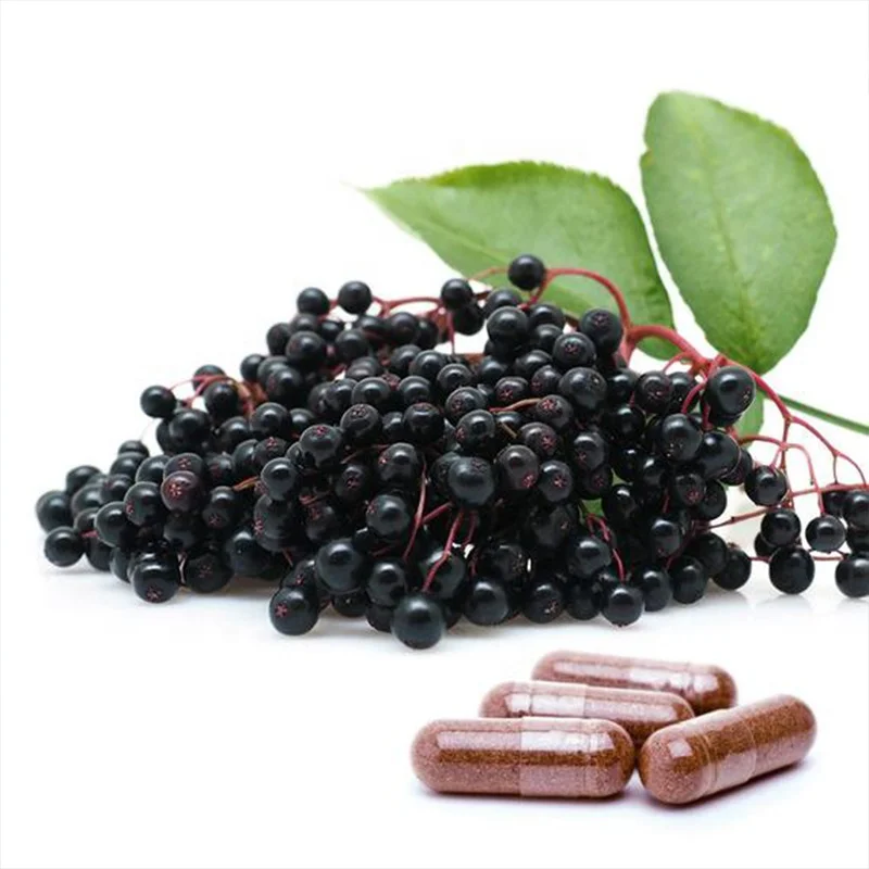 Wholesale Herb Supplement Vitamin C Zinc Capsules Immune Booster  Black Seed Elderberry Extract Powder Capsules