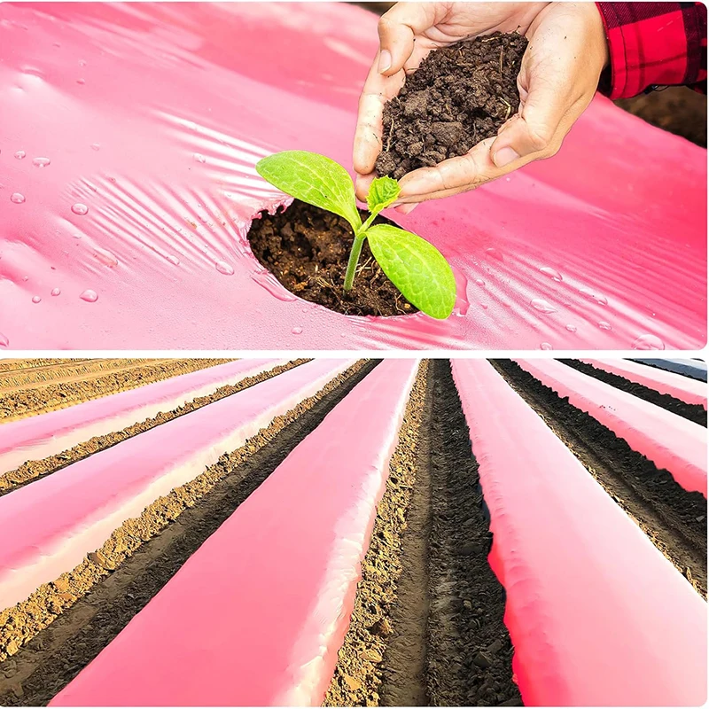 Custom Size UV Resistant Biodegradable Plastic Pink Mulch Garden Film Agricultural