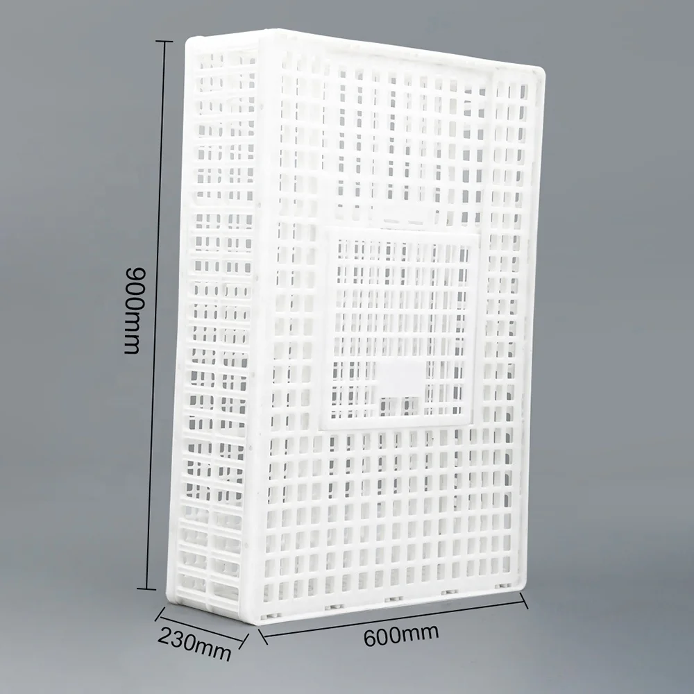 Good design nice appearance 900*600*230 mm sturdy plastic live bird shipping box / pigeons carrier crate