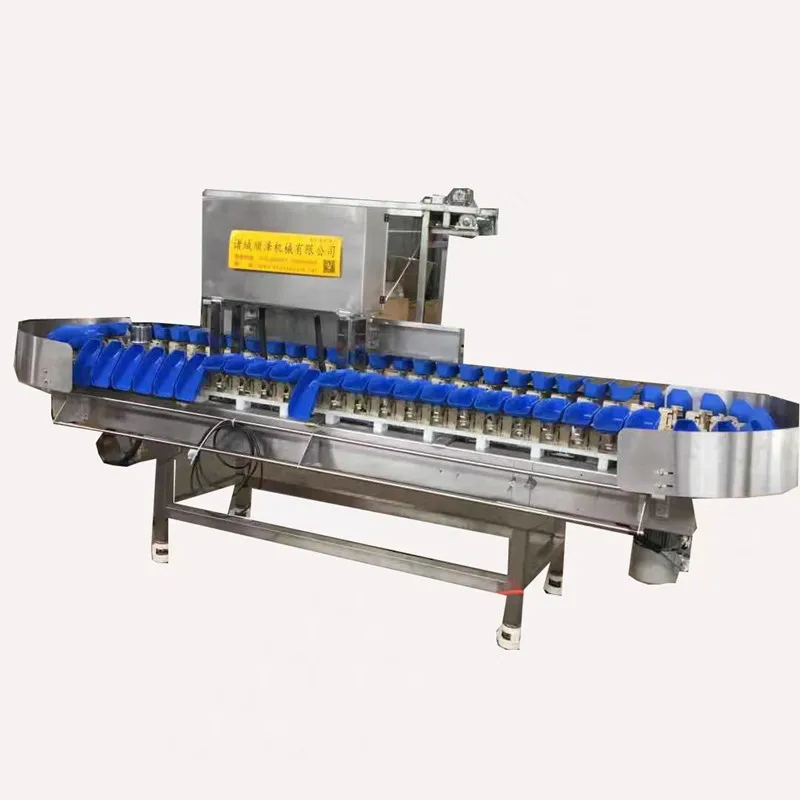 Low price sale 304 Stainless steel fish seafood shrimp weight sorting machine Chicken feet Wing Middle wing root grading machine